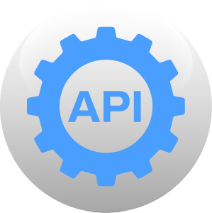 API testing