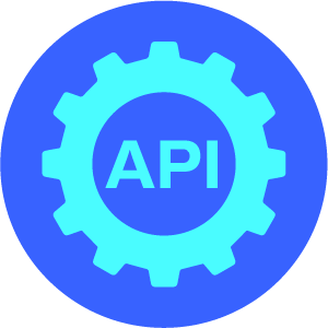 API Penetration Testing